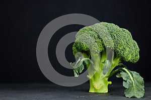 One head of healthy salad. fresh green broccoli. horizontal view of green vegetable flower. healthy diet. copy space. green