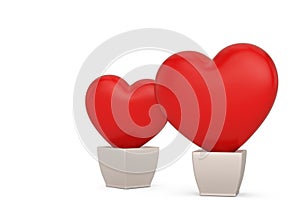 Two heart pots Isolated on white background. 3d illustration