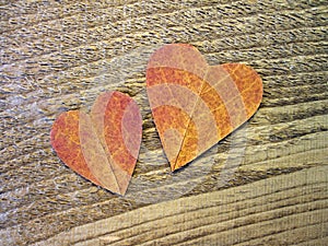 Two hearts cut from leaf