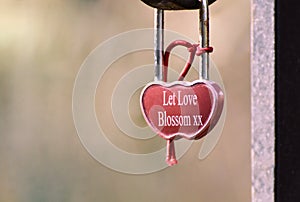 Two Hearts Let Love Blossom Love Lock