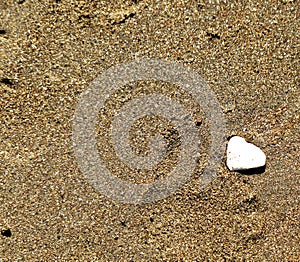 Two Hearts Shaped from Sand and Shell