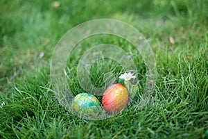 Two Hidden in the grass Easter eggs, which are painted in different colors