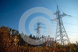 Two high voltage power lines on a background of a forest