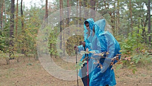 Two hikers in raincoats backpacking in rainy wood