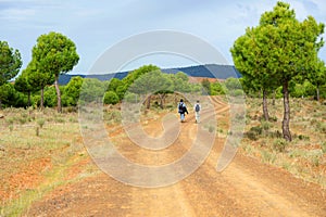 Two hikers in the Via de la Plata, El Berrocal in Almaden de la Plata, Sevilla province, Andalusia, Spain photo