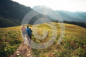 Two hikers walking down a trail in the wilderness
