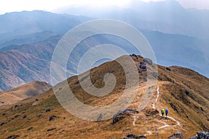 Two hikers are walking on a mountain range through golden fields at Muleit pagoda, Myanmar Burma