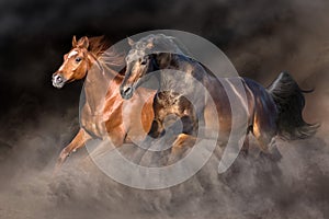 Dos un caballo en desierto tormenta 
