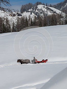 Bolzano, Italy - march 2020: Two Horse-drawn Red Carriage and Elderly Coachman