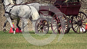 Two horses carriage contest