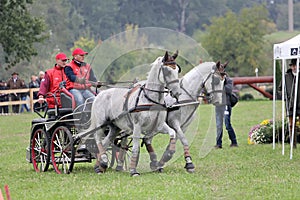 Two horses carriage