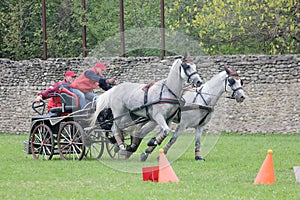 Two horses carriage