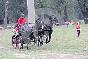 Two horses carriage