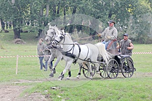 Two horses carriage