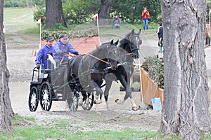 Two horses carriage