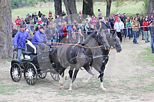 Two horses carriage