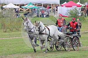 Two horses carriage