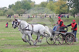 Two horses carriage