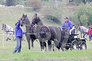 Two horses carriage