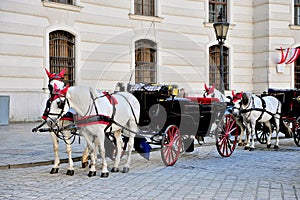 Two horses carriage in Hofburg