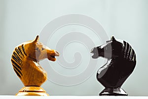 Two horses chess pieces