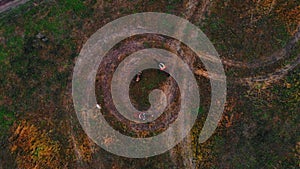 Two horses with equestrians are going in circle on the autumn field