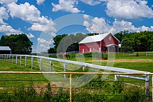 Two horses fenced in, minnesota