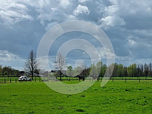 Two horses grazing on bright green grass in a sunny outdoor field