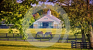Two horses grazing with a horse barn in the background