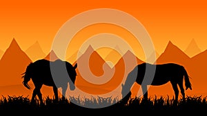 Two horses on pasture