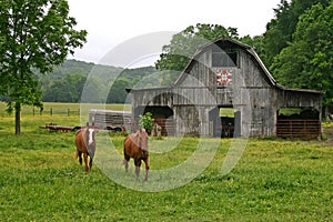 Two Horses & Quilt Barn horizontal