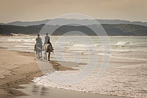 Two horses with riders on sandy beach