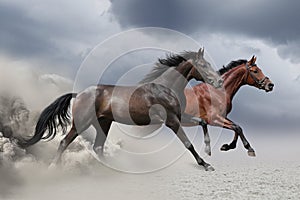 Two horses running at a gallop