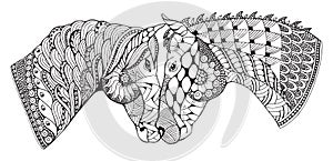 Two horses showing affection, zentangle stylized, vector photo