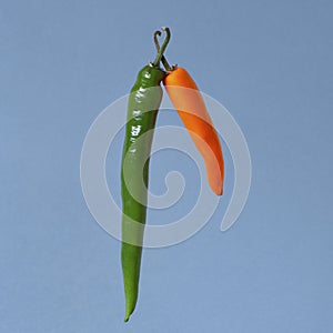 Two hot peppers on a light blue background.