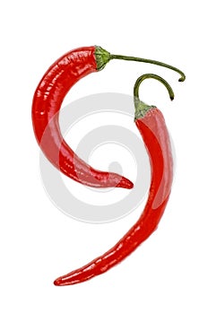 Two hot red chilli pepper isolated on white background