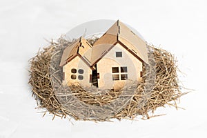Two house models in a hay nest on white
