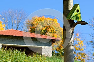 Two houses on the tree