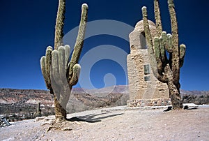 Two Huge Cactuses in Humahuaca ,Salta,Argentina photo