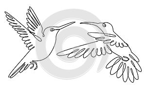 Two hummingbirds are flying. Birds in a modern one line style. Solid line, outline for decor, posters, stickers, logo. Vector illu