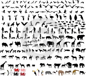 Two hundred animal vector illustrations