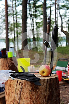 two hunting knives stuck in the stump. still life during a picnic in the forest. Russia