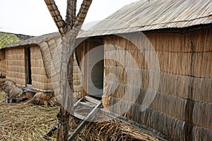 Two huts of reeds made by the indigenous people of lake Titicaca in Peru, South America