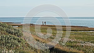 Two hydrologists wearing antimosquito screens on their heads examine ground and make measures. Descover Yamal peninsula.