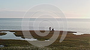 Two hydrologists wearing antimosquito screens on their heads examine ground and make measures. Descover Yamal peninsula.