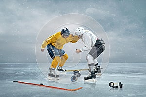 Two ice hockey players