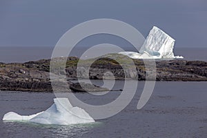 Two icebergs, Fogo Island