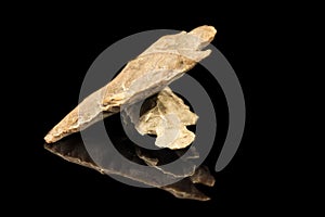 Two Indian arrowheads and black background