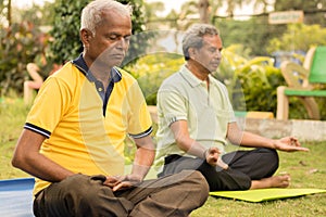 Two Indian senior men doing meditation on yoga mat at park by closing eyes - concept of elderly healthcare and lifestyle