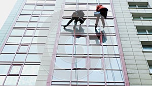 Two industrial climbers are washing, cleaning facade of a modern office building